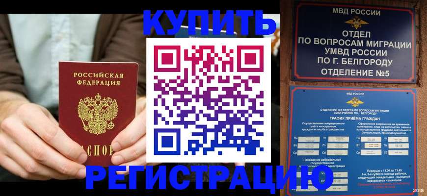 прописка 2025 в Бородино